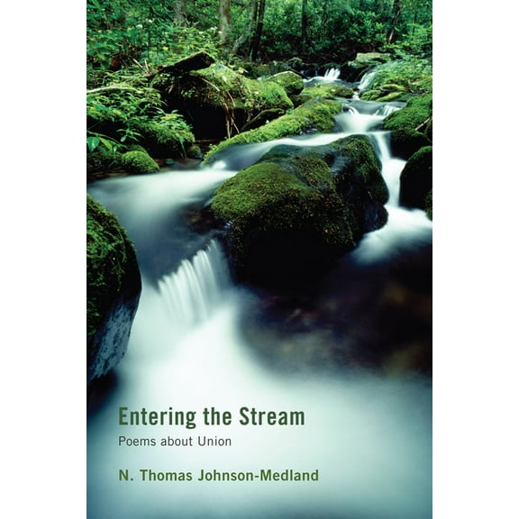 Entering the Stream (Paperback)
