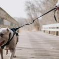 thumbnail image 6 of HOOZA: Magnetic Quick Clip: Reflective Leash - Black, Small - 5/8" x 6' Dog Outdoor Accessory, Pet Safety-Walking-Training-Control, Padded Loop Handle, 6 of 10