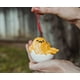 thumbnail image 4 of Adorno navideño Surreal Entertainment Gudetama, 10 cm, 4 of 8