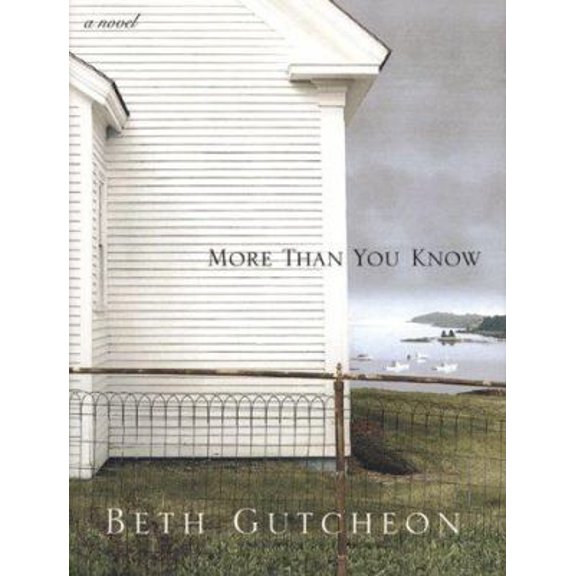 Pre-Owned More Than You Know: A Novel (Hardcover) 0688174035 9780688174033