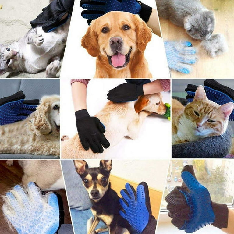Dog hot sale hair glove
