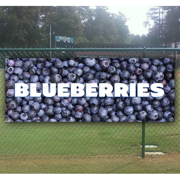 Blueberries 13 oz heavy duty vinyl banner sign with metal grommets, new, store, advertising, flag, (many sizes available)