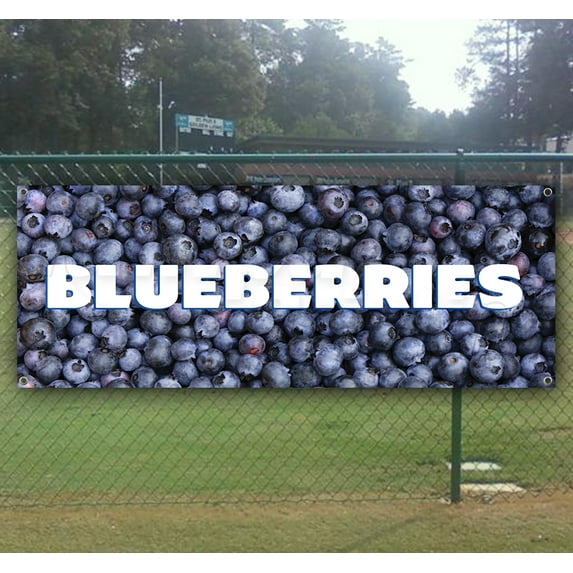 Blueberries 13 oz heavy duty vinyl banner sign with metal grommets, new, store, advertising, flag, (many sizes available)