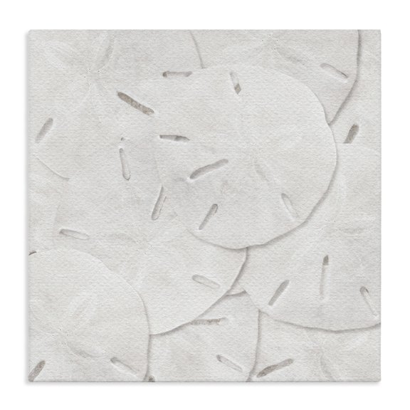 Stupell Industries Contemporary Nautical Sand Dollars Canvas Art, 30 x 30, by LSR Design Studio