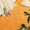 Noahas Soft Fluffy Area Rug Modern Shaggy Bedroom Rugs for Kids Room
