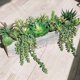 thumbnail image 3 of 21 piezas Surtido de plantas suculentas artificiales Sin maceta Pequeña cadena verde de perlas Cactus Aloe Selecciones Suculentas falsas a granel para suculentas Corona de jardín F, 3 of 5