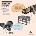thumbnail image 2 of AVERYDAY Dog Food Stand for Large Medium Dogs, 4 Heights Adjustable Elevated Dog Bowl with 2 Stainless Steel Water Bowls, Raised Pet Bowls for Large Medium Breed, 2 of 9