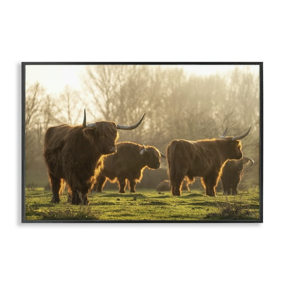 Stupell Industries Longhorns in Foggy Pasture Animals & Insects Photography Black Framed Art Print Wall Art, 18 x 12