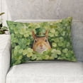 thumbnail image 2 of Happy Squirrel Welcome St Patrick's Day Lucky Shamrocks Clover Quilt Pillowcase Pet Small Animal Lover Throw Pillow Cover Bed Home Decor - 22001, 2 of 5