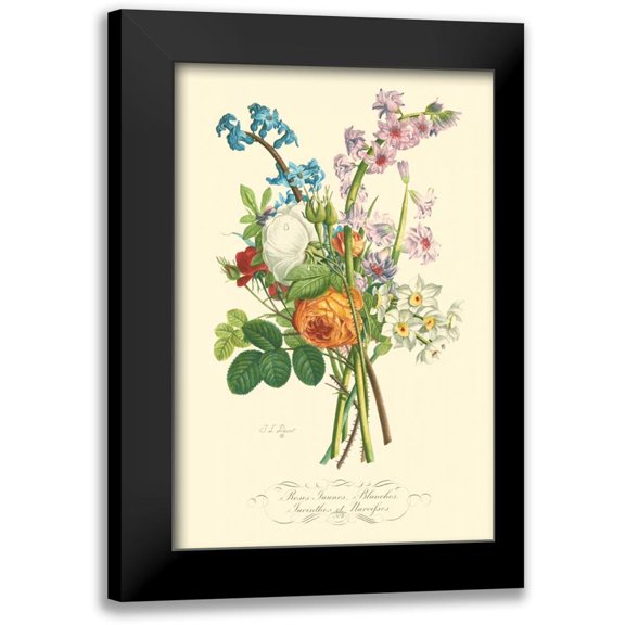 Prevost, T.L. 11x14 Black Modern Framed Museum Art Print Titled - Plentiful Bouquet IV