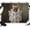 Grey, White, Brown, Black, variant on 7x5ft Photo Backdrop, Cute Dogs Soft Polyester Backdrop Curtains Photography Backdrops, Funny Puppy Reading Newspaper Toilet Brushed Background for Photoshoots Studio Video Portrait Parties