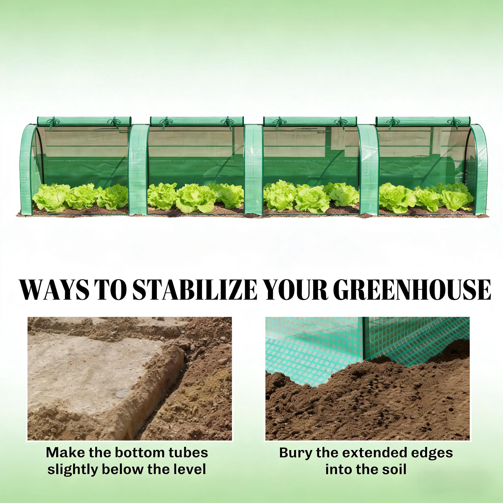 Mini Greenhouse
