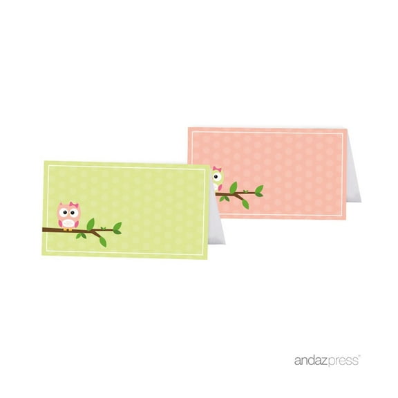Modern Owl Girl Baby Shower Table Tent Place Cards, 20-Pack