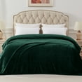 thumbnail image 3 of Exclusivo Mezcla Twin Size Flannel Fleece Velvet Plush Bed Blanket as Bedspread, Coverlet, Bed Cover (60"x80", Forest Green), 3 of 11