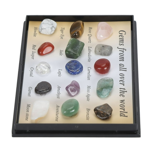 Rock and Mineral Collection Kit for Kids, Transparent Display Box, Educational Science Set with Jewel Rocks, Perfect for Beginners and Young Science Enthusiasts
