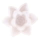 thumbnail image 1 of Bearachild Molde de flor de silicona para boda, fiesta, festival, vacaciones, eventos, arte de resina, manualidades, molde DIY, organizador de Artesanía, 1 of 6