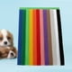 thumbnail image 3 of 24 Uds. Collar Identificación para Cachorros Y Gatitos Bandas Parto, 3 of 8