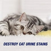 Resolve Urine Destroyer Pet Urine Stain & Odor Remover Spray, 32oz (Pack of 2)