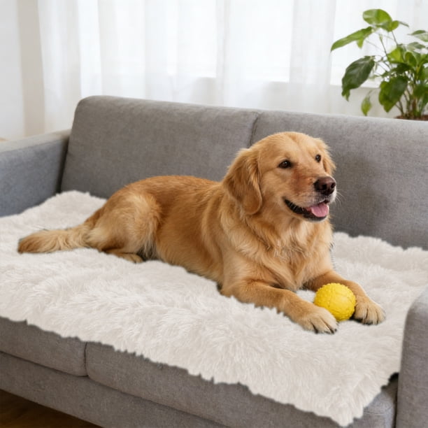 Manta para perros y gatos | Cojín de cama sintético cálido de cuatro estaciones 56x36cm | Funda suave de poliéster en varios colores | Alfombra acogedora para perrera para uso interior y exterior