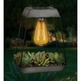 thumbnail image 3 of Edison Succulent Solar Lantern - Pyramid, 3 of 5