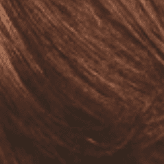 6 Light Brown