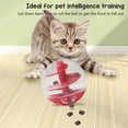 Cat Treat Ball,Cat Food Ball Toys,Cat Ball Slow Feeder Toy,Cat Food Dispenser Interactive Puzzle