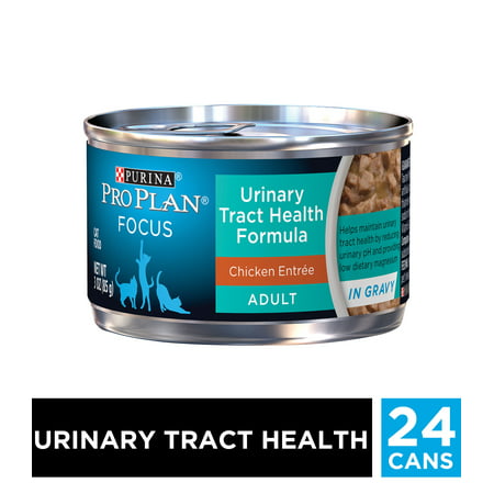 Purina Pro Plan Urinary Tract Health Gravy Wet Cat Food, FOCUS Urinary Tract Health Formula Chicken Entree - (24) 3 oz. Pull-Top (Best Wet Food For Cats With Urinary Problems)
