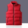 thumbnail image 4 of Solid Color Versatile Thickened Zip-Up Vest for Men, 4 of 5