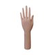 thumbnail image 3 of Maniquí de mano femenina multiusos para exhibición, decoración, ideal para collares, guantes y pulseras. Mano izquierda, 3 of 9