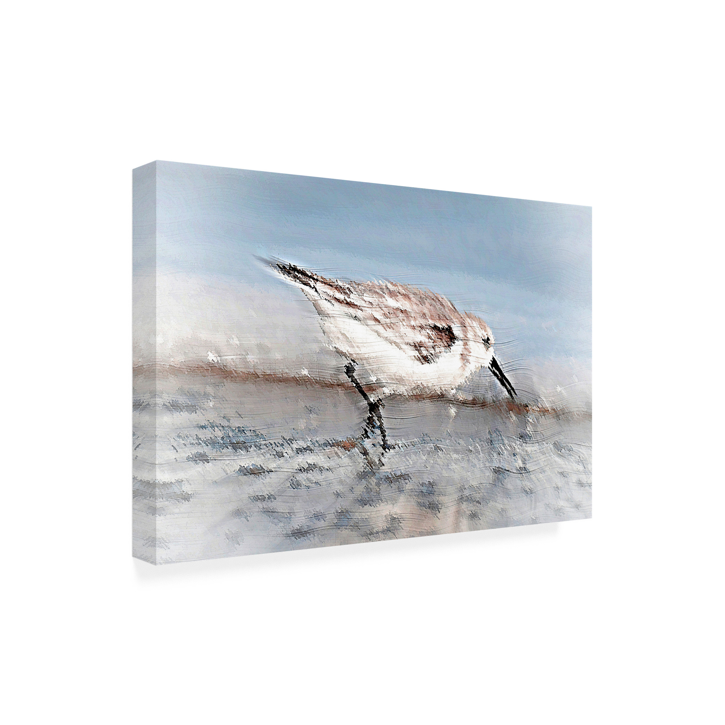 David Manlove 'Sand Piper A' Canvas Art
