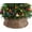 24" Brown, variant on LIFERECORD Christmas Tree Collar, 36" Wicker Tree Collar for 6-9ft Trees, Wicker Base Cover, Natural Brown