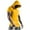 Yellow, variant on Chiccall Mens Summer Tops Mesh Hoodie Short Sleeve Hooded Crew Neck T Shirts Casual Lightweight Workout Gym Shirts