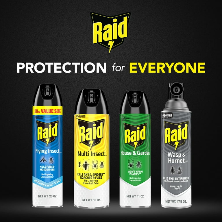 Raid Flying Insect Killer 7, Indoor and Outdoor Bug Spray