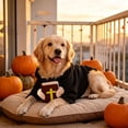 thumbnail image 7 of Tuvgenk Halloween Pet Pastor Costume for Dogs Cats, Priest Outfit with Hood for Holiday Party Dress Up, Cute Photo Prop for Small Animals, Size XL, 7 of 7
