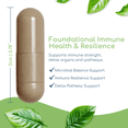 thumbnail image 5 of Return Healthy Cryptolepis Synergy Immune Supplement for Women and Men, Daily Liver and Lymphatic System Booster, Bidens Pilosa, 120 Vegan Capsules, 5 of 10
