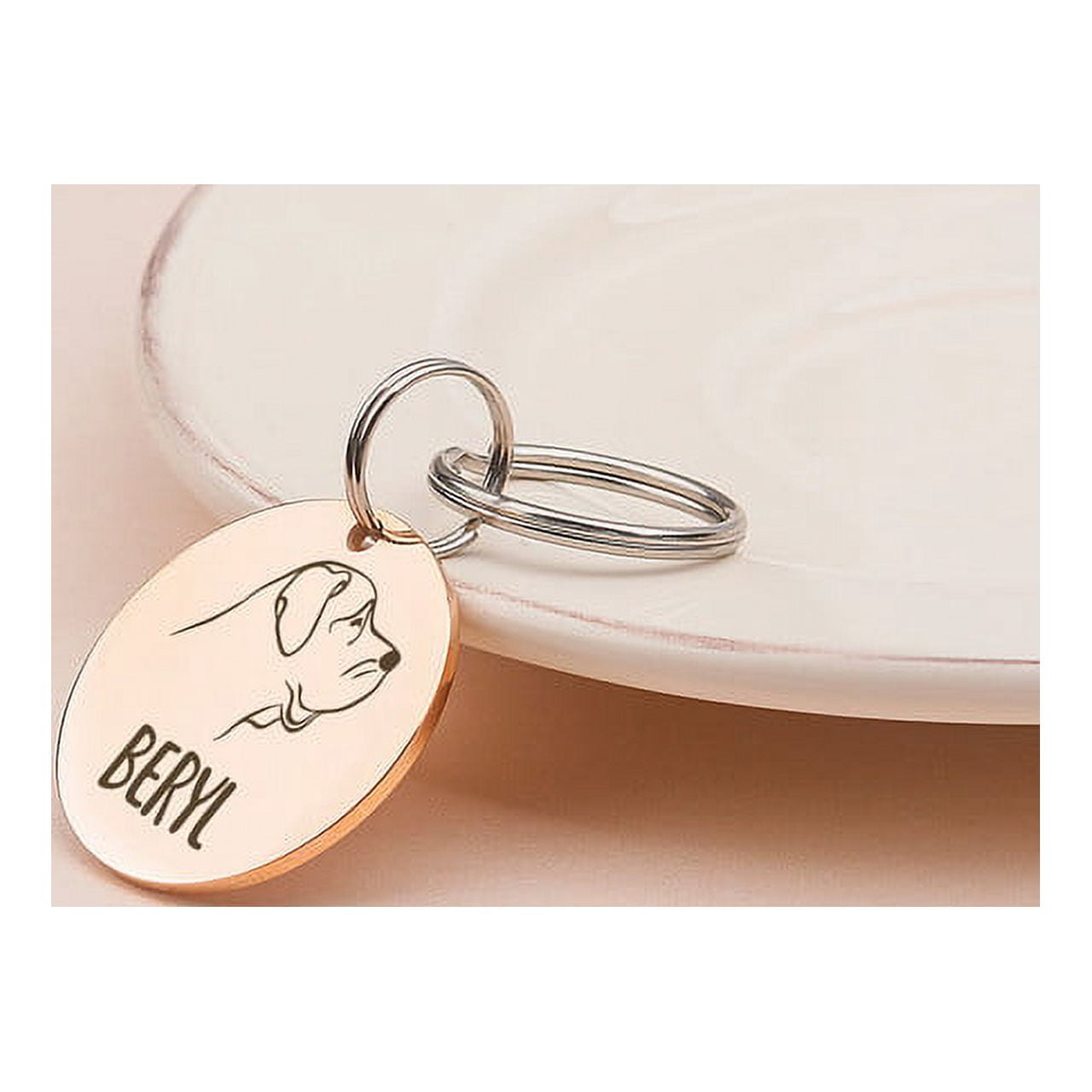 Anavia Stainless Steel Double Sided Round Name and Dog Portrait Engraved Dog & Cat ID Tag, Multi-color, M