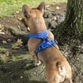 thumbnail image 6 of Voyager Dog Harness Dual Leash Attachment No-Pull Control Adjustable Soft but Strong Pet Harness for Medium and Large Dogs with 3M Reflective Technology - Harness Leash Set (Royal Blue Lattice), XL, 6 of 8