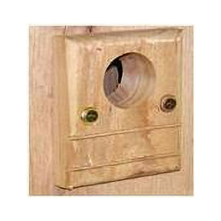Songbird Essentials SESC6010C Guard Bluebird Box