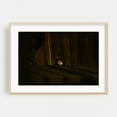 thumbnail image 2 of Glimpse Through the Boards - Brooklyn New York Photography Cat Animal Moody Abandoned Rustic Gothic Mystical Unframed Wall Art Print 8 x 12 inches, 2 of 7