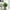 Green-C, variant on Lilgiuy Spring Fake Plants Small Artificial Potted Plants Faux Plants Orange Bathroom Accessories for Home Office Desk Bathroom Indoor Balcony Garden Decor, 8.27x6.69in