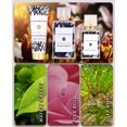 thumbnail image 4 of Perfume Catherine Malandrino Transcendent Eau de Parfum, juego de 3 piezas, 4 of 5