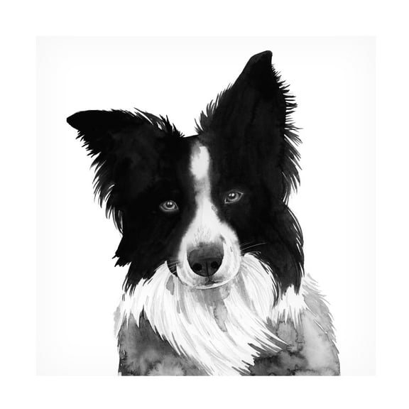 Grace Popp 'Border Collie I' Canvas Art