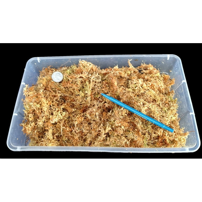 Sphagnum Moss 1.1lb Long Fiber Dried Forest Moss for Orchid Moss Potting Mix, Natural Plant Moss for Carnivorous Plants, Succulent, Reptile(18.3