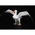 thumbnail image 3 of Realistic Albatross Lifelike Ornament Model, 3 of 5