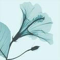 thumbnail image 2 of Koetsier, Albert 20x20 White Modern Wood Framed Museum Art Print Titled - Saphire Love Hibiscus, 2 of 4