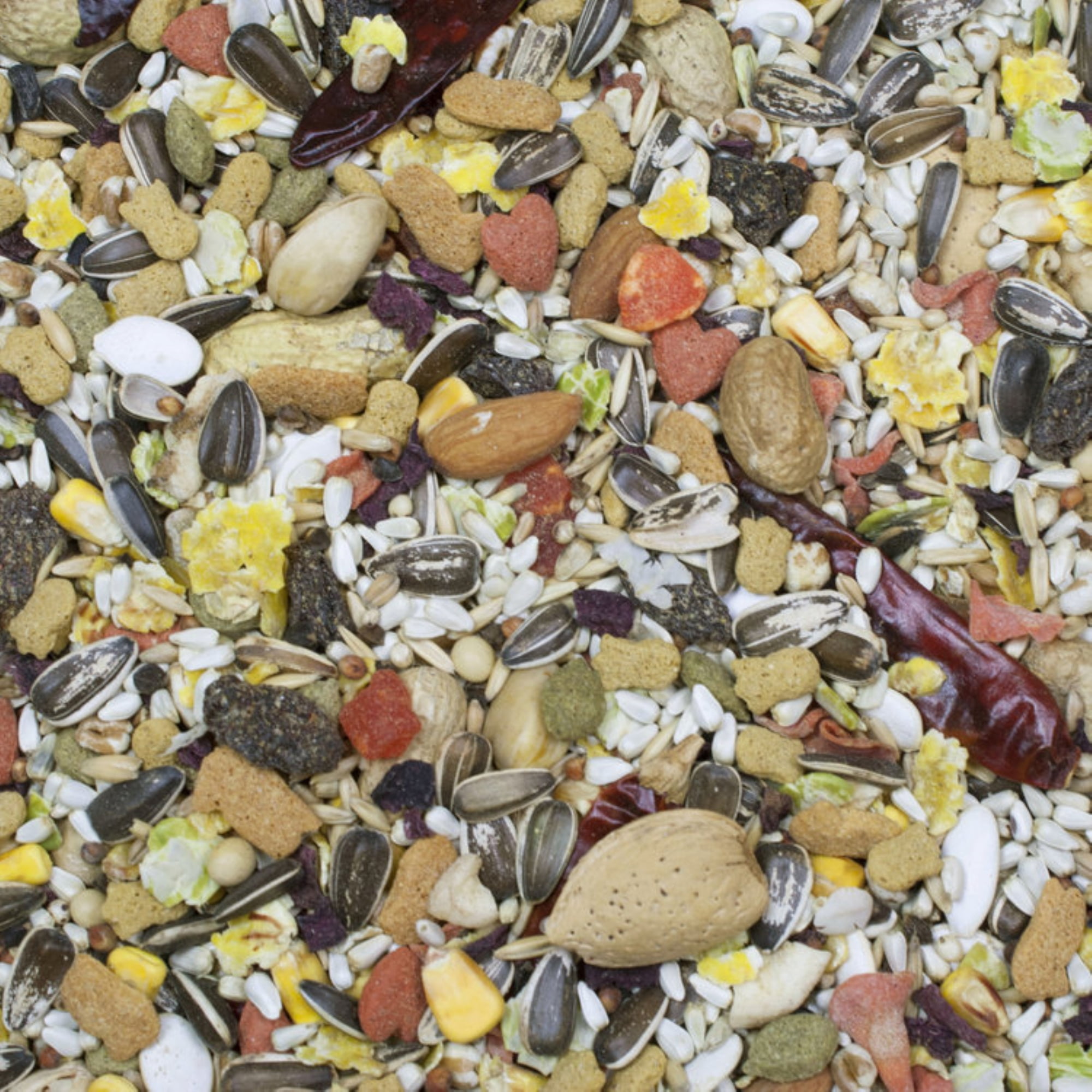 Higgins Sunburst Parrot Bird Food, 25 Lb