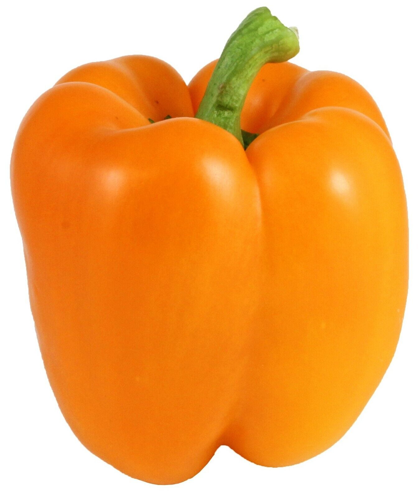 50+ Orange Bell Pepper Seeds NonGMO Heirloom Fresh Garden Seeds