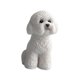 thumbnail image 4 of Figura de perro en miniatura para decoración del salpicadero del coche, artesanía, escultura pequeña y bonita. blanco en cuclillas, 4 of 9