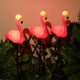 thumbnail image 1 of Lámpara decorativa con energía solar LED Flamingo Yard Lighting 600mAh Luz de césped al aire libre, 1 of 9