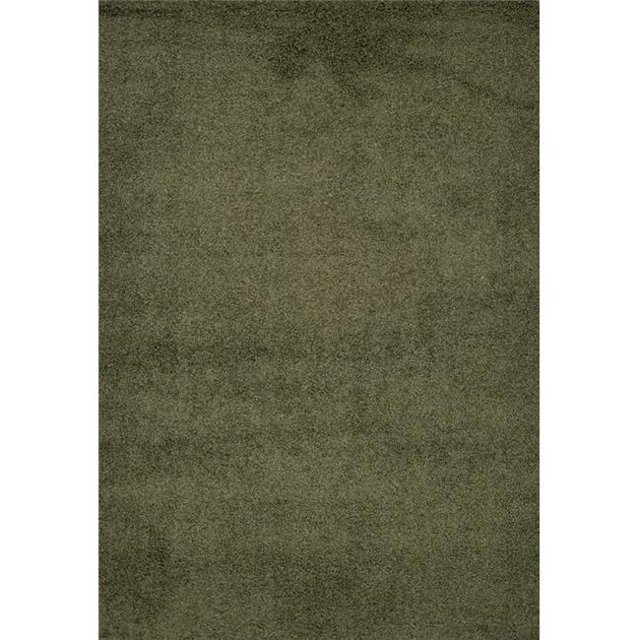 Homedora HD-SHAGGY-GREEN 5 x 7 ft. Discount World Shaggy Collection Green Area Rug